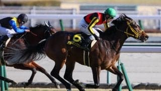 【エルフィンS】アルーリングウェイが好位から抜け出す