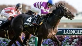 【本日の注目ポイント】東京で東京新聞杯、中京ではきさらぎ賞