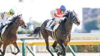 【きさらぎ賞予想】クラシックにつながる重要な一戦、成長著しいあの馬に期待