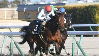 【東京新聞杯予想】1番人気信用度低め＆内枠有利！ 狙える穴馬は前走3勝クラス勝ち馬か？