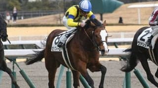 【中京6R新馬戦結果】ゼッフィーロが人気に応えて新馬勝ち