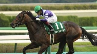 【東京新聞杯・馬体重】ファインルージュは510kg(+16)、カラテは534kg(+2)