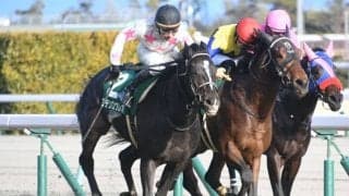 【きさらぎ賞結果】マテンロウレオがダンテスヴューとの追い比べをハナ差制して重賞初V