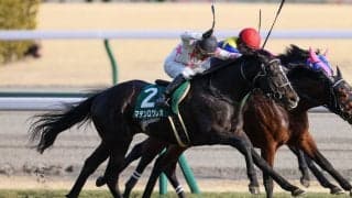 【きさらぎ賞】マテンロウレオが重賞初制覇