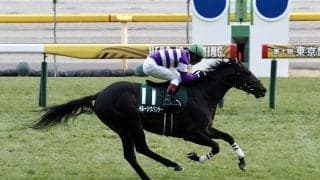 【東京新聞杯】イルーシヴパンサーが4連勝
