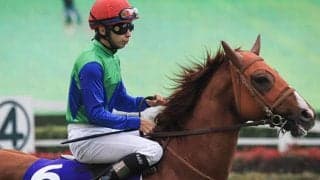 【大井・金盃】ダート2600mの長距離重賞、トーセンスーリヤが移籍初戦迎える/地方競馬枠順