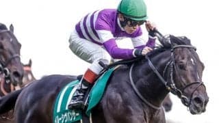 【勝負の分かれ目 東京新聞杯】田辺騎手の自信に満ちた騎乗でイルーシヴパンサーが4連勝