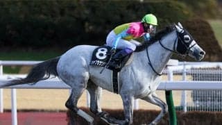 【瀬戸S】武豊 ハヤブサナンデクンが人気に応える