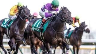 【東京新聞杯】売上は78億4600万2700円で昨年からおよそ14.5億円の増加