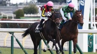 【ゆりかもめ賞】レヴァンジルが人気に応える