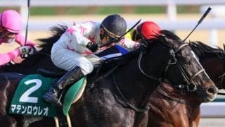 【きさらぎ賞】横山典「良く凌いでくれた」マテンロウレオが重賞初制覇