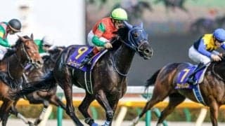 今週から阪神開催　重賞は京都記念・共同通信杯・クイーンC/今週の競馬界の見どころ