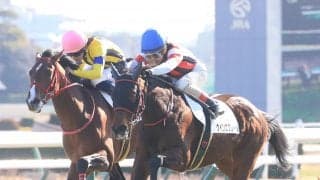 【クイーンC登録馬】ウインエクレールなど18頭