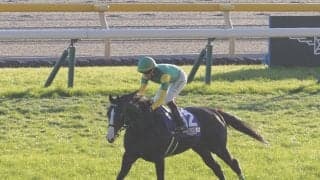 【京都記念登録馬】サンレイポケットなど13頭