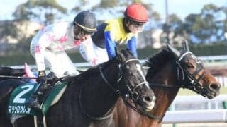 【きさらぎ賞】売上は42億6672万9900円で昨年からおよそ1.2億円の減少