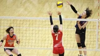 Vリーグの試合結果一覧と順位（V2男女・2月6日）