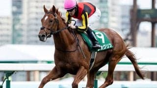 【AI予想・共同通信杯】巻き返しはある!? 人工知能が選び出した出世レースの「◎」候補は…