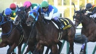 【洛陽Sハンデ確定】アドマイヤビルゴは56.0kg、クラヴァシュドールは53.0kg