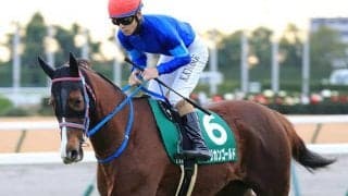 京都記念で“激走”狙うアフリカンゴールド　国分恭介騎手「積極的な競馬でいい結果を」