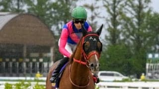 【佐賀記念】メイショウカズサは8枠11番