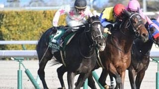 グラスワンダーに似た母方の血統構成を有するマテンロウレオが重賞初V