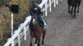 【クイーンC想定騎手】ベルクレスタは松山弘平騎手、スターズオンアースは横山武史騎手