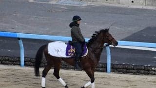 ダノンザキッドなど、先週の入厩情報/栗東トレセンニュース