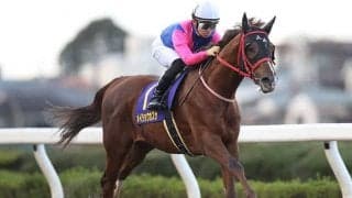 【佐賀記念 14時半時点オッズ】メイショウカズサが単勝1.4倍の1番人気、ケイアイパープル、ギベオンが続く