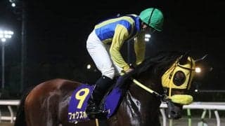 夢とロマンで種牡馬入りした素質馬　息子が貴重な血を受け継ぐ