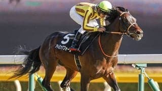 【先週のJRA抹消馬】2020年アメジストS覇者アトミックフォース、メートルダールの半妹トゥルーアートなど