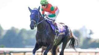 【京都記念予想オッズ】ユーバーレーベンが予想1番人気