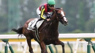 【クイーンC予想オッズ】ベルクレスタが予想1番人気