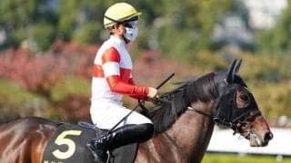 【共同通信杯予想オッズ】ダノンスコーピオンが予想1番人気