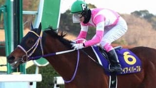 【佐賀記念】藤岡康「自分で押し切る形を選んだ」ケイアイパープルが交流重賞初制覇