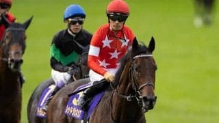 【京都記念展望】国内外のGIに向けた前哨戦、あの馬の巻き返しを期待