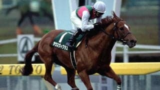 地方競馬におけるサウスヴィグラスの影響力　種牡馬ランキングでは7年連続8度目のトップに