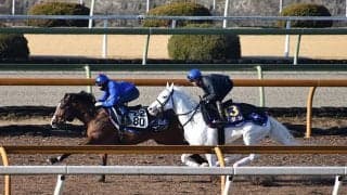 ソダシ、フェブラリーS1週前追い切り速報/栗東トレセンニュース