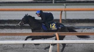 スワーヴアラミスなど、フェブラリーS1週前追い切り速報/栗東トレセンニュース