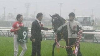 【JRA】重賞2勝のレッドアンシェルが引退　甲賀ファームで乗馬に