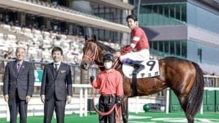 【アルクオーツスプリント】ラウダシオン・カレンモエ・デュガなど14頭が登録