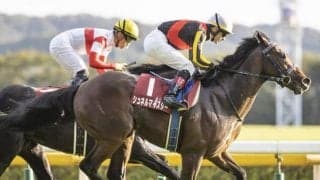 【ドバイターフ】シュネルマイスター・ダノンザキッド・サリオスら15頭が予備登録