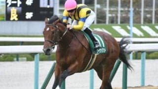 【JRA】ソーヴァリアントが骨折　昨年のチャレンジC覇者