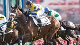 【次走】京成杯2着ロジハービンは弥生賞へ