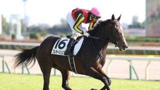 【クイーンC「見逃せない調教師」ベスト3】東京芝1600mで複勝率48.3％、複勝回収率110％、この調教師には逆らうな！
