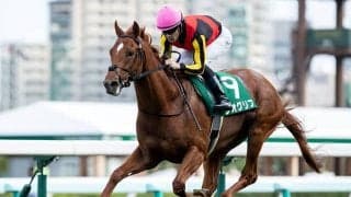 【共同通信杯「見逃せない調教師」ベスト3】東京芝1800mで3番人気以内なら複勝回収率105％ 人気の○○厩舎は買い！