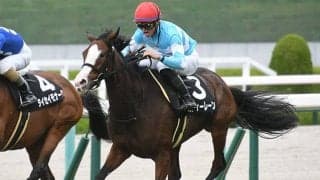 【ダイヤモンドS想定】メロディーレーン、レクセランス、ステイフーリッシュなど14頭