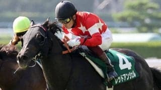 レッドアンシェルが競走馬登録抹消