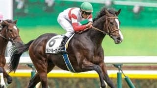 【共同通信杯展望】出世の登竜門、あの馬の重賞制覇を期待したい