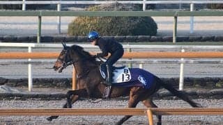 【京都記念「見逃せない調教師」ベスト3】阪神芝2200mのGIで大活躍。このコースで狙うべき調教師は？