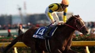 タイムパラドックスが死亡　現役時代にGI級競走5勝